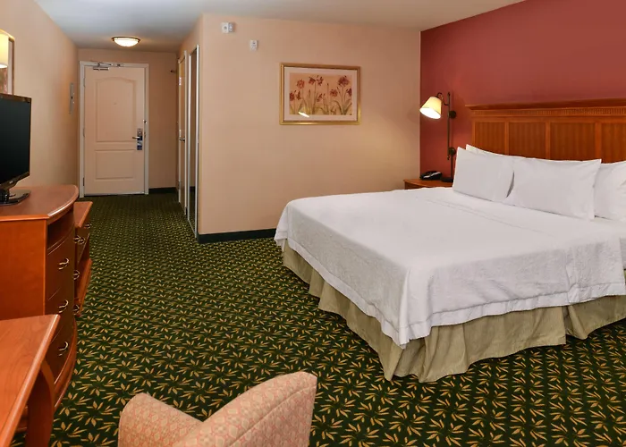 Hotel Newly Renovated-hampton &