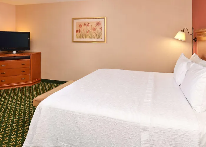 Newly Renovated-hampton & 3*