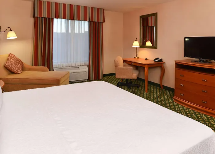 Newly Renovated-hampton & Hotel