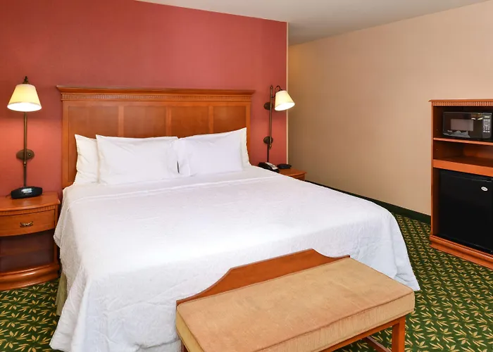 Hotel Newly Renovated-hampton &