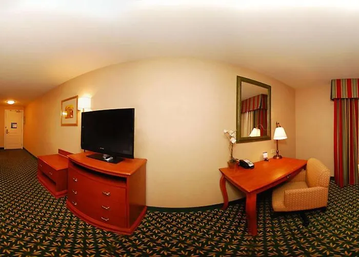 Hotel Newly Renovated-hampton &