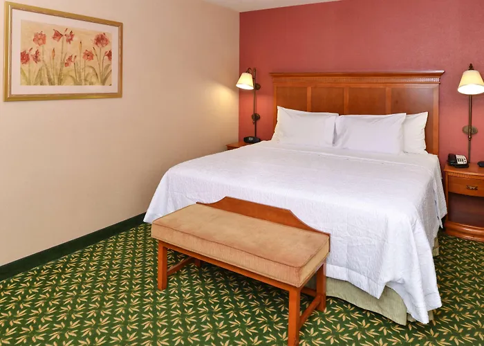 Newly Renovated-hampton & Hotel Casper
