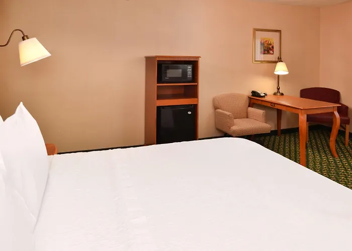 Newly Renovated-hampton & Hotel