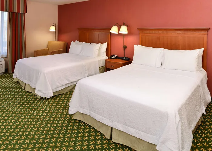 Newly Renovated-hampton & Hotel
