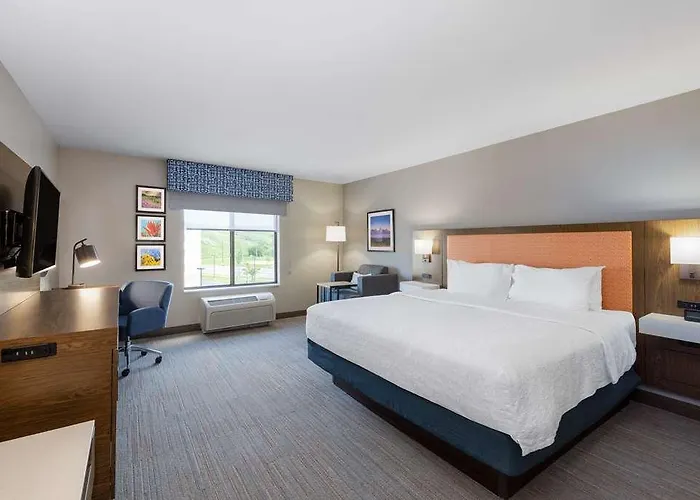 Newly Renovated-hampton & Hotel
