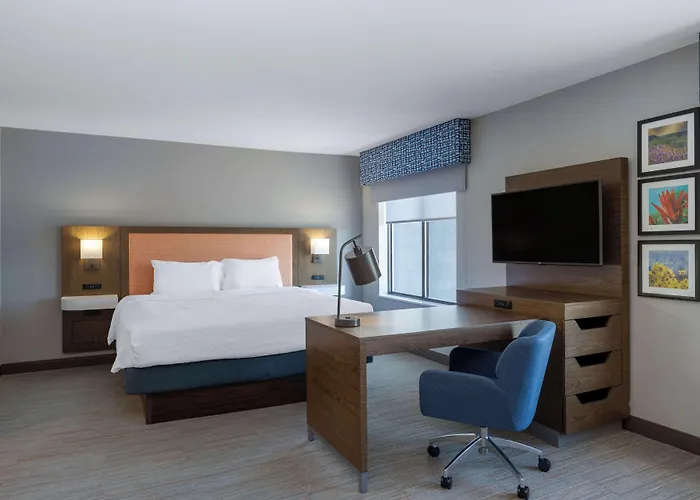 Newly Renovated-hampton & 3*