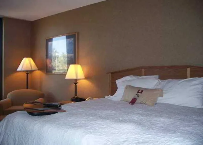 Newly Renovated-hampton & 3*